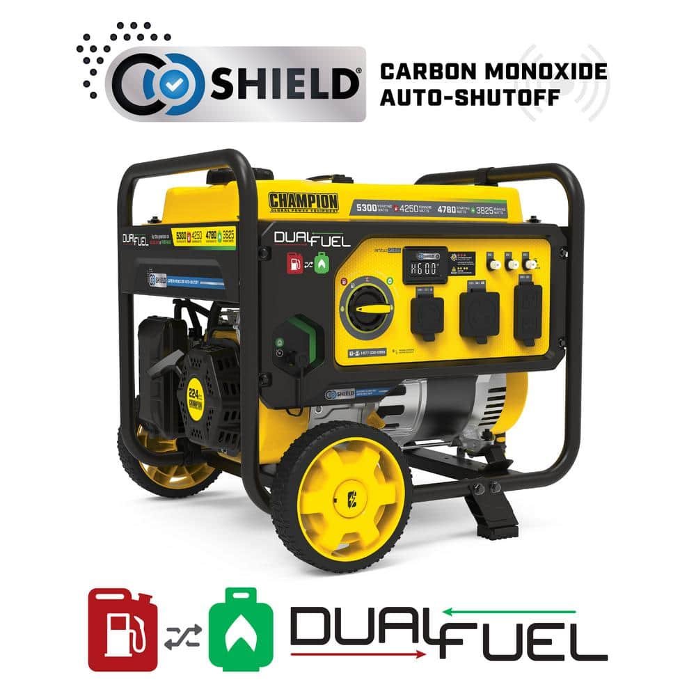 Champion Power Equipment 5300/4250-Watt Recoil Start Dual Fuel Portable Generator w/ Free 3-Year Warranty for RV and.